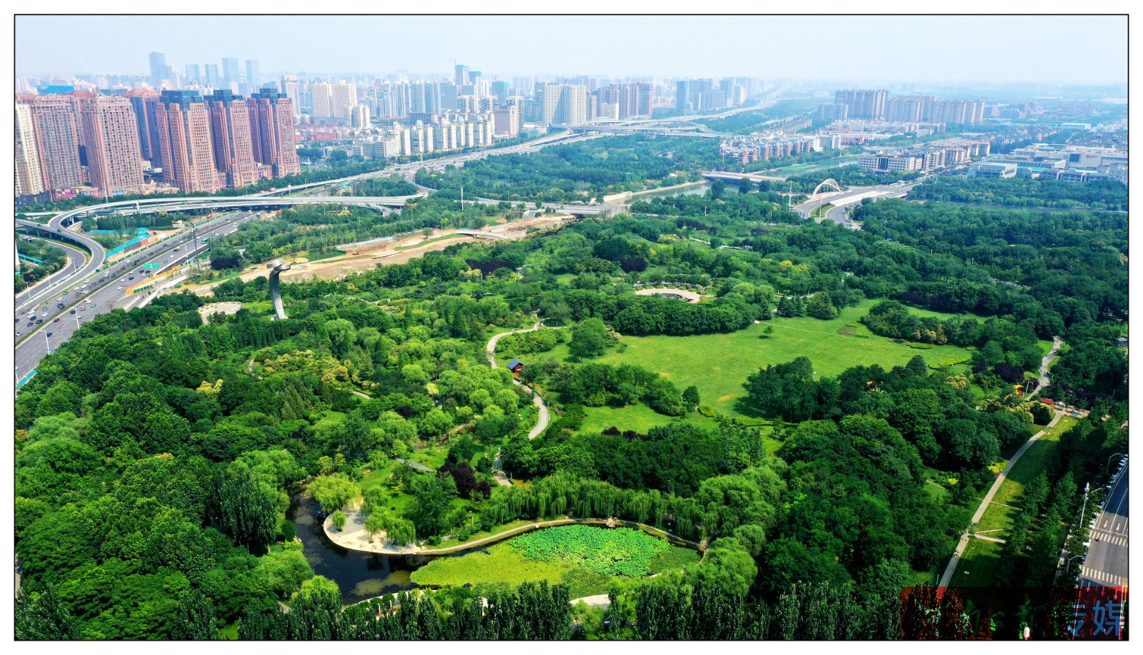 你还没有来过郑州之林?这座空气清新负氧离子爆棚的城市公园值得你来美景打卡