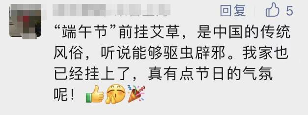 明日端午，艾草成昆明市场“顶流”！网友：我为仪式感买单！