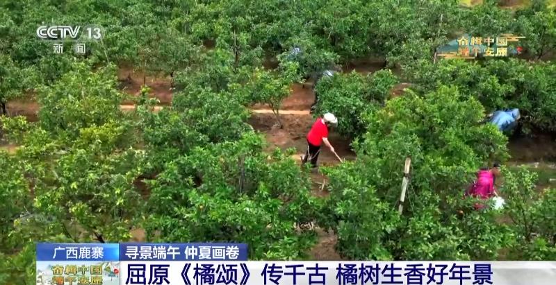 “心动一夏”浪漫告白带你看端午的仲夏画卷→