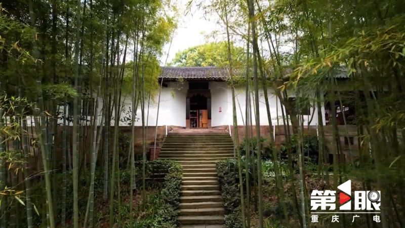 第1眼重庆广电新闻爆料,重庆广电第1眼热线电话