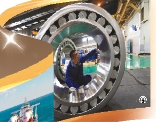 大连：当好新时代东北振兴“跳高队”、“辽沈战役”急先锋