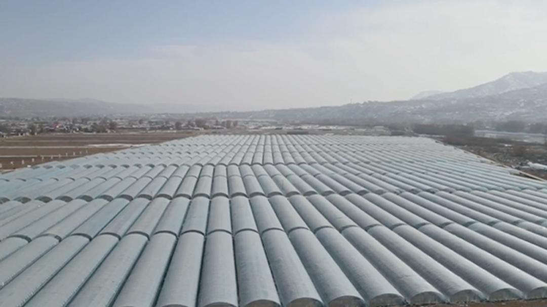 临洮县新添镇崖湾村杨家大庄,甘肃省定西市临洮县新添镇崖湾村