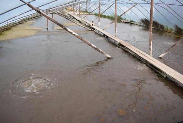 实现近3倍增长！江苏粤海全面启航，一年时间用产品力赢下市场