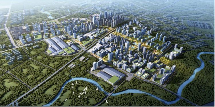 “深聊一下”关注深圳高新区（坪山）北片区交通问题，为企业畅通“发展之路”