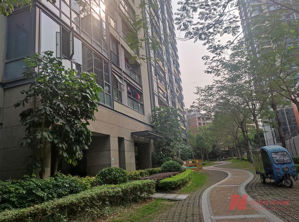 毕业季租房市场调查·深圳｜毕业生租房选择面丰富，深圳房东推出“10天免租期”等优惠