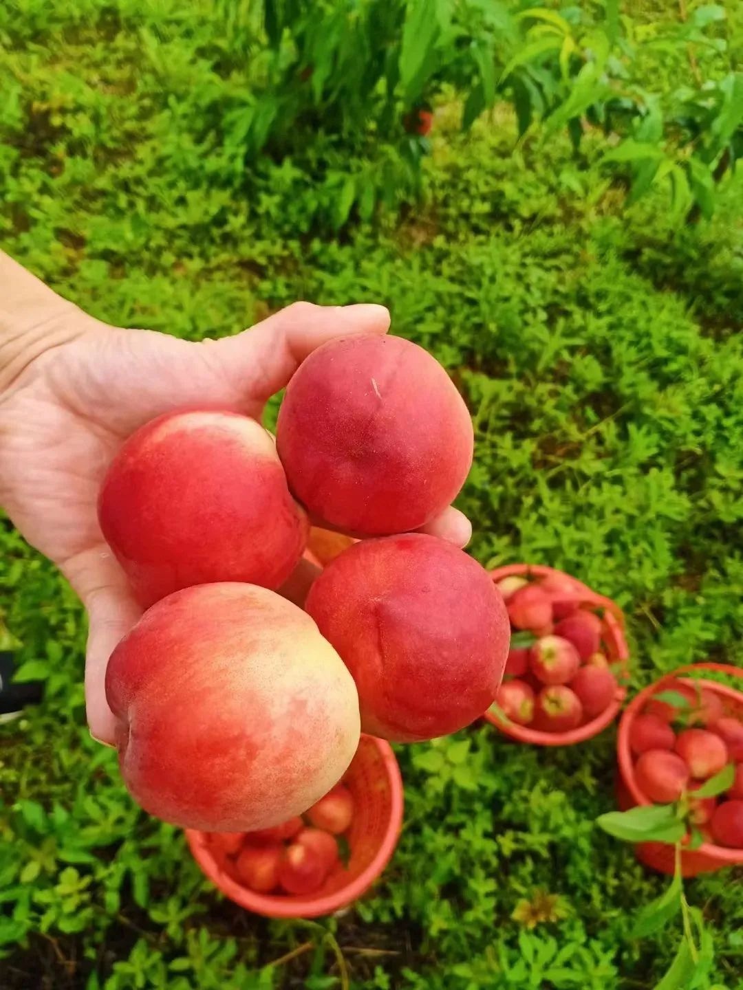 在咸宁这样玩，清凉一整个夏天