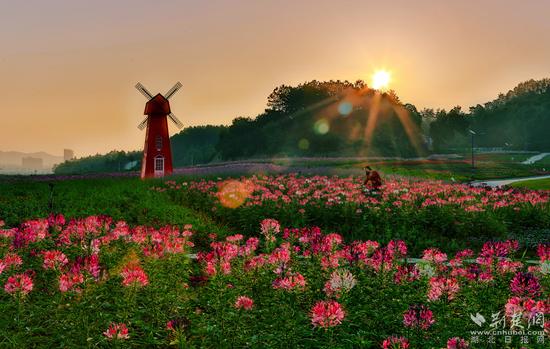 中国好空气英山图片,英山四季旅游宣传语