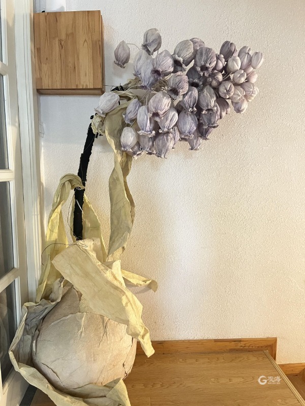 镜像微观|浪漫满屋！花园咖啡厅“绽放”美丽产业