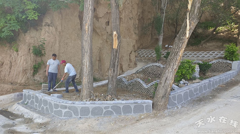 凤山镇全面推进乡村振兴,延坪镇培植特色产业助力乡村振兴