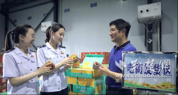 枣阳：税惠“能量”护航中小微企业“茁壮成长”