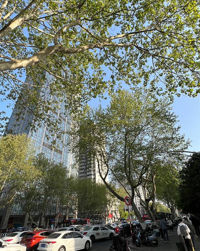 2023.04南京5日闲