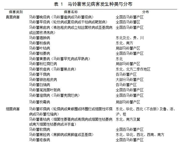 目前马铃薯种植面积是多少,我国马铃薯主要种植区