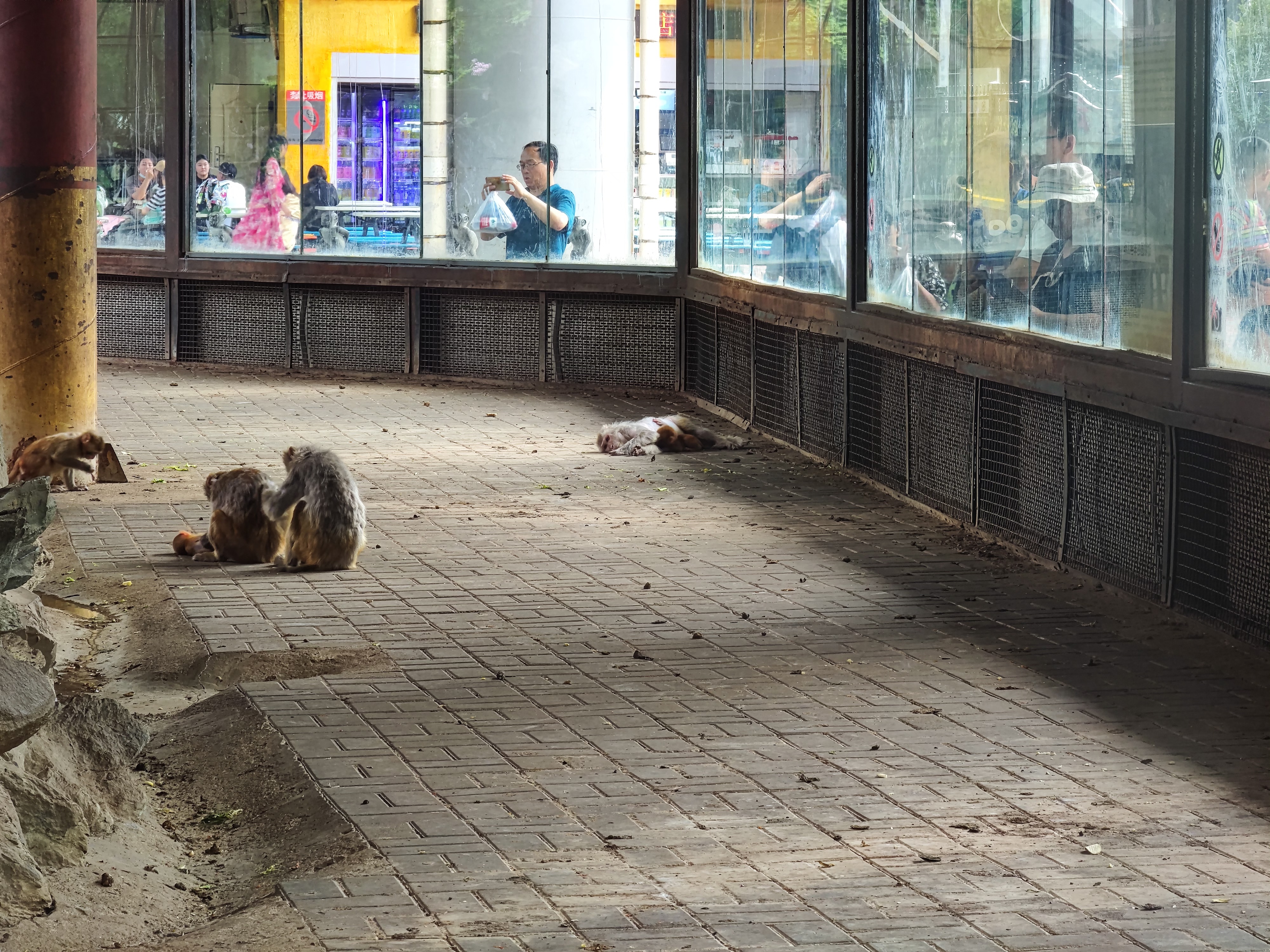 400瓦火炉,4036k火烧炉