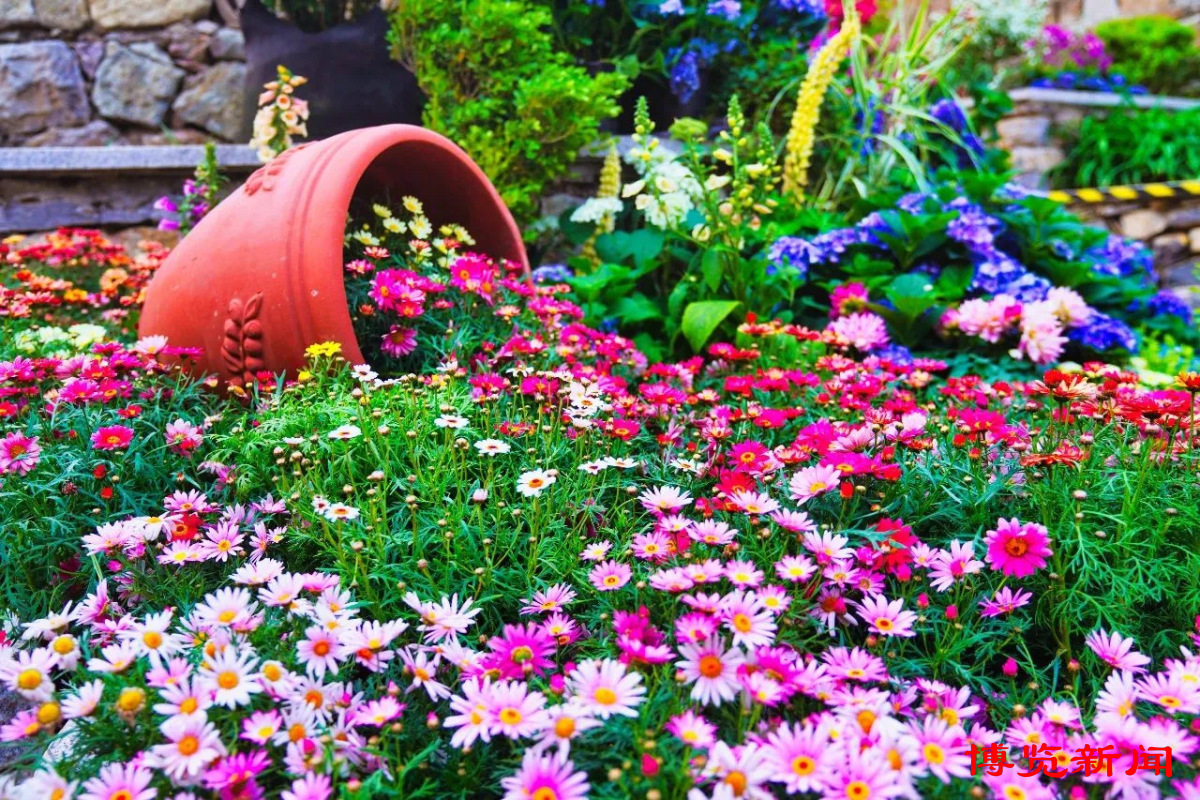 节气里的淄博︱小暑：荷花香万物长时有微凉不是风