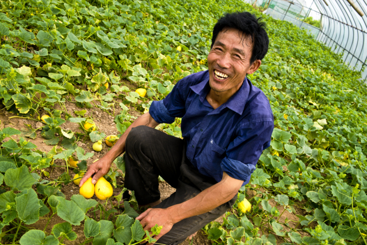 舟山农业补贴政策,舟山农业高质量发展大会