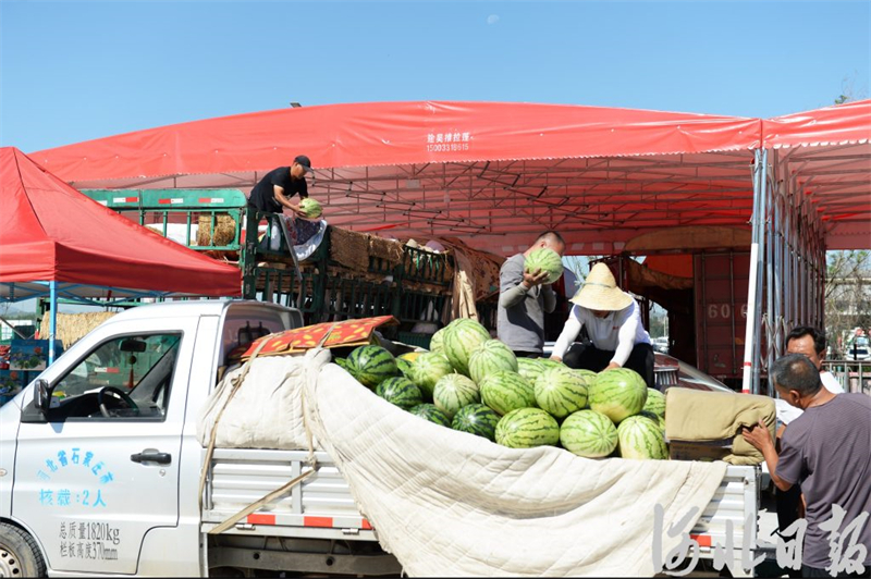 石家庄农产品市场搬迁到什么地方,石家庄新发地农产品批发市场