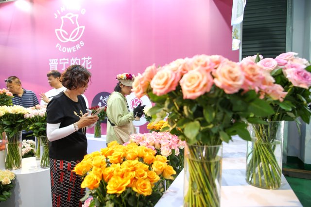 有一种叫云南的生活｜“郑和故里·云花灿烂”！2023晋宁玫瑰节启幕