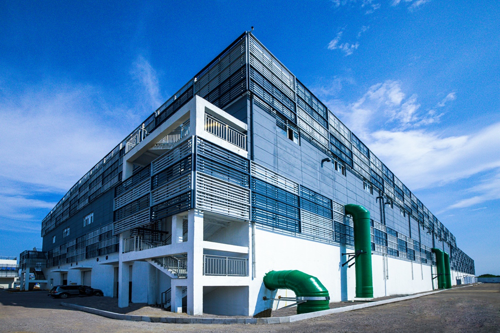 缁垮姩闈掑矝,缁垮姩榻愰瞾