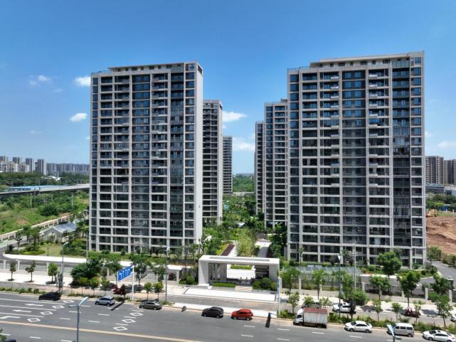 城投东方领誉租房,阳逻城投东方领誉公租房怎么租