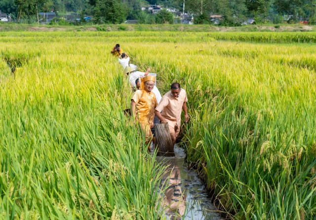 有一种叫云南的生活朗诵,有一种叫云南的生活感觉