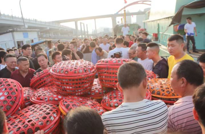 舟山梭子蟹选购方法,舟山梭子蟹带货第一