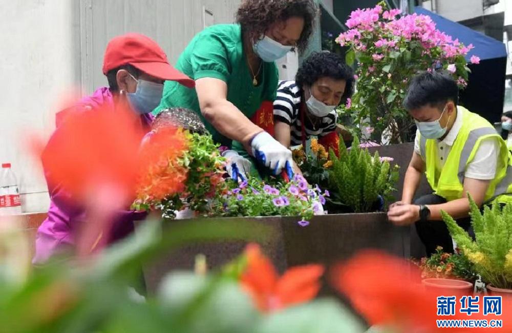 武汉园林绿化发展建议,聚焦质量提升推进高质量发展