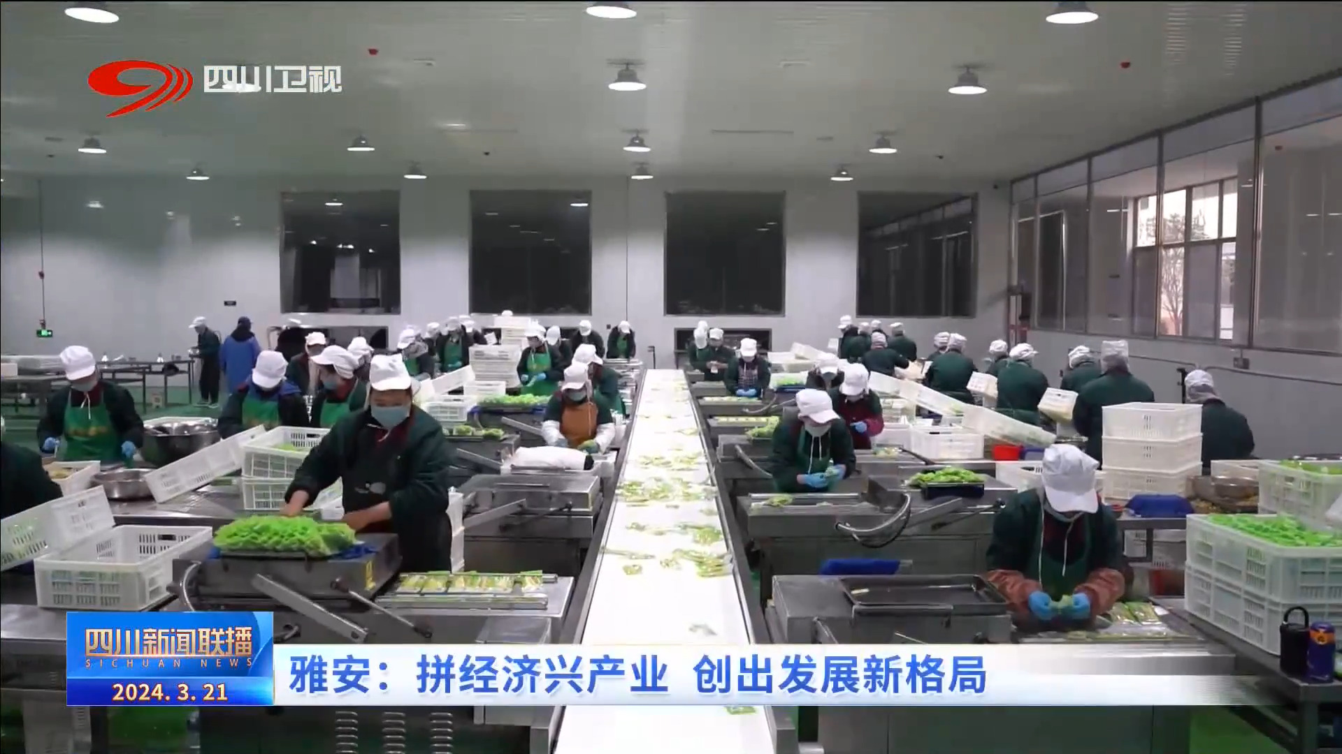 四川省经济形势新闻发布会,雅安千亿产业