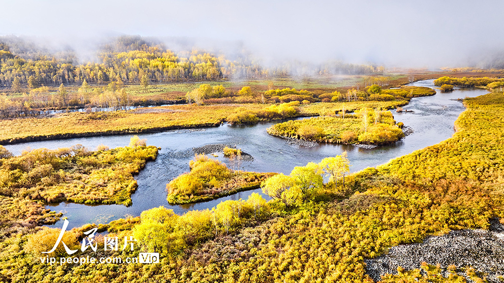 内蒙阿尔山美景视频,阿尔山国家森林公园的秋色