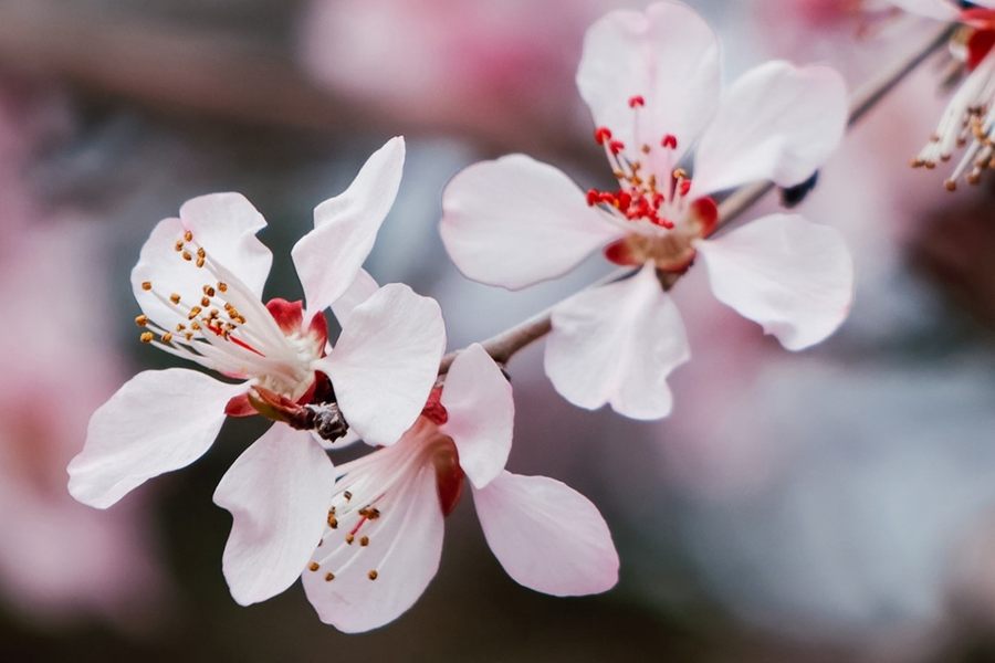 微单专业性价比最高最强相机,最新性价比最高微单相机