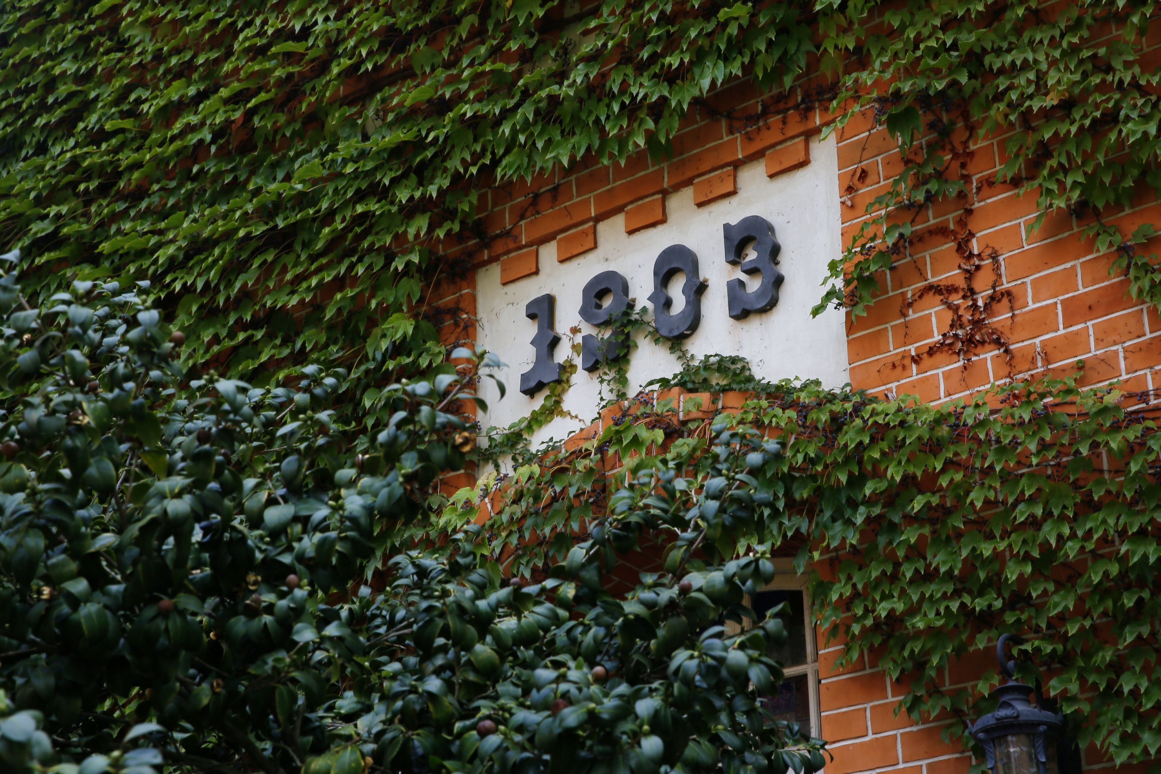 青岛啤酒博物馆拾光之沫光影秘境,青岛历史啤酒博物馆