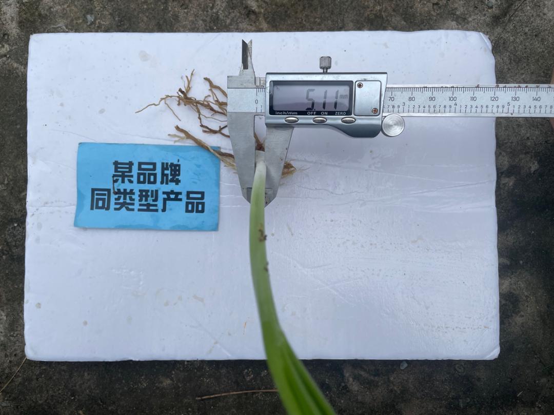 韭菜施什么肥料叶片大而肥厚,芭田肥料上大蒜的效果