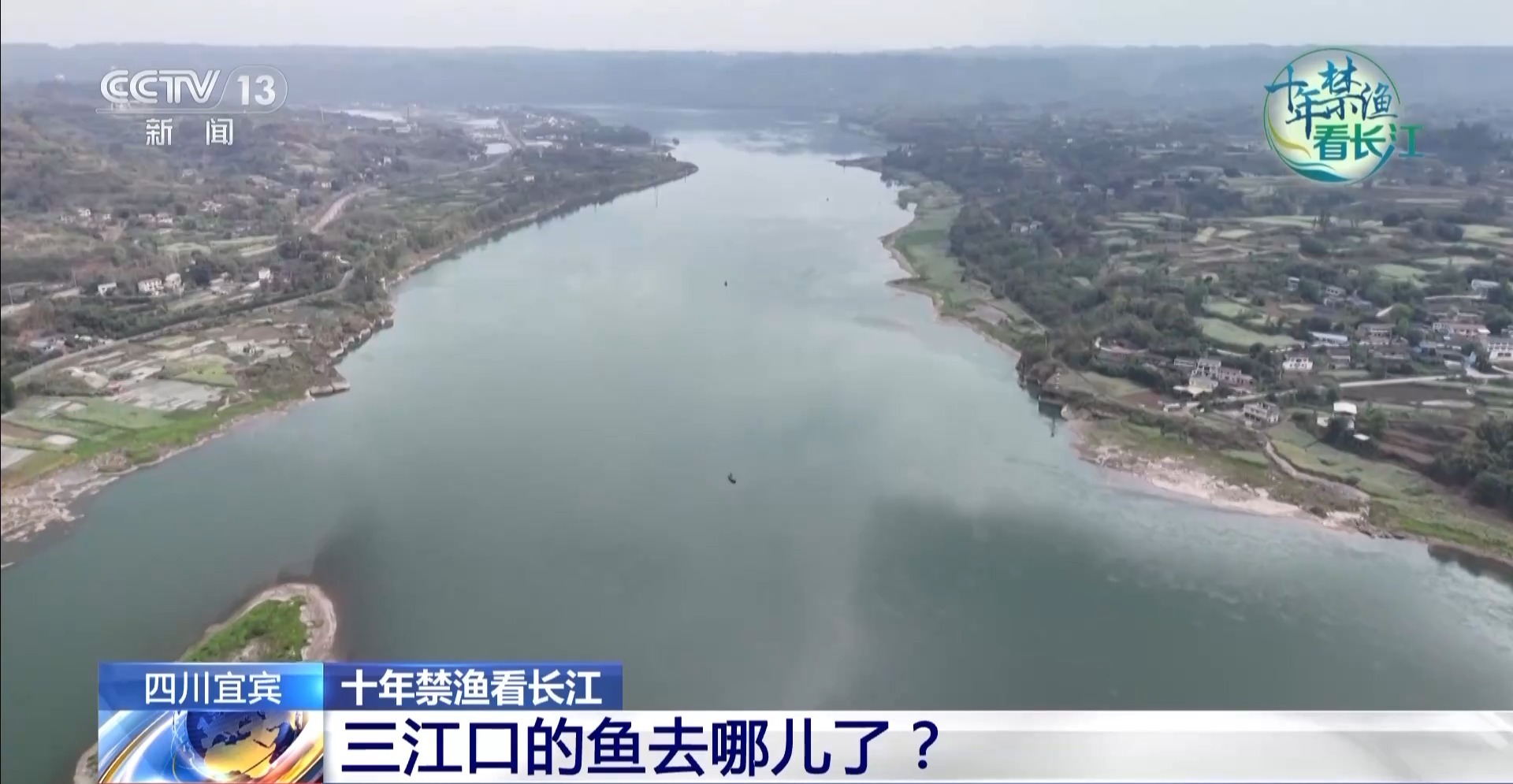 长江禁渔鱼类数据变化,长江禁渔三年多鱼儿们过得怎么样