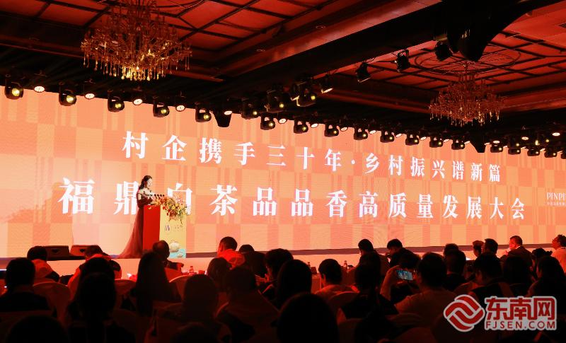 村企合作的乡村振兴,福鼎白茶乡村振兴