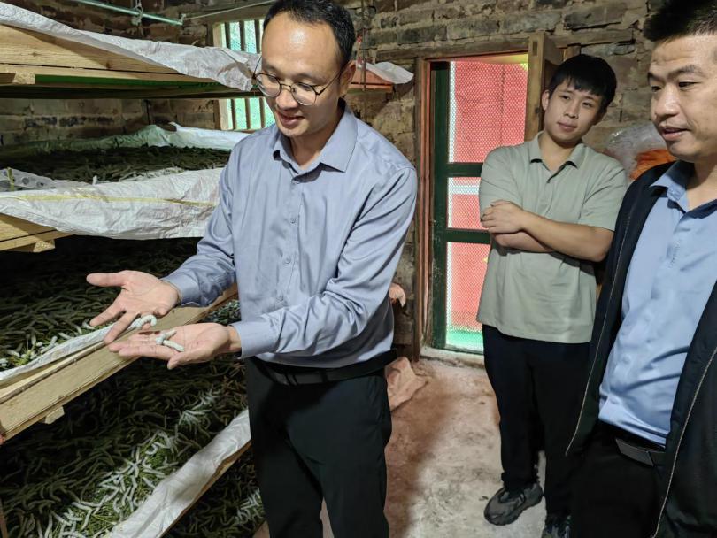 一片赤诚为乡亲,新田挂职副县长