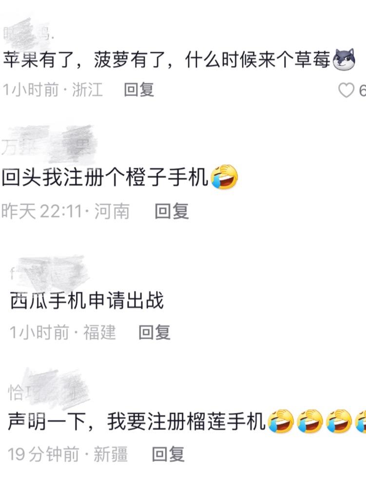 鑻规灉娉ㄥ唽浜唒ineapple鍟嗘爣,鑻规灉娉ㄥ唽鑿犺悵鍟嗘爣