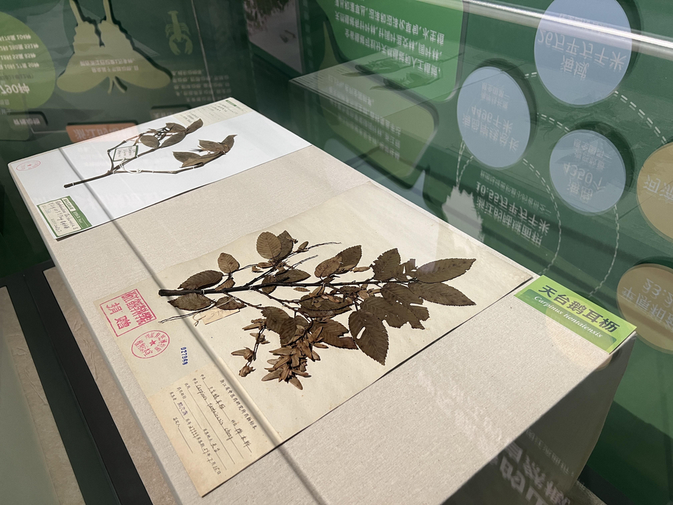 东方宝石蓝色海洋,珍稀濒危动植物