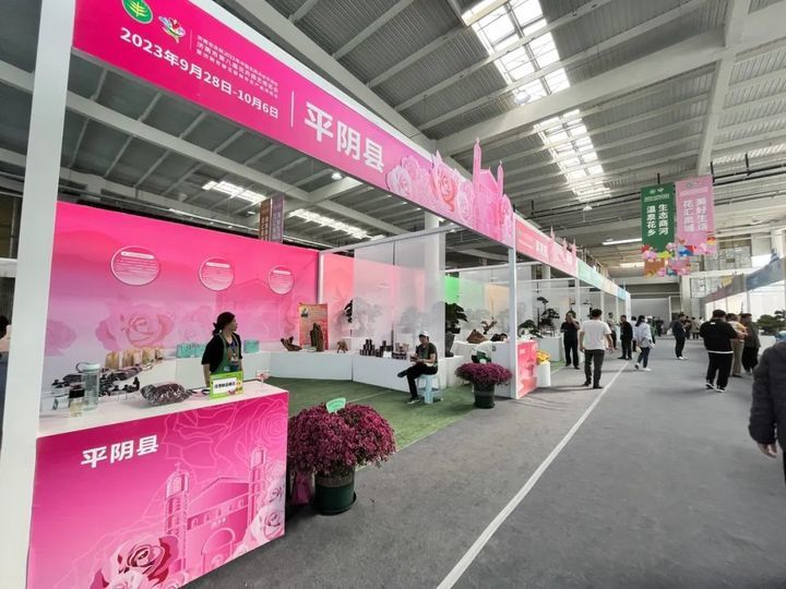 游花博泡温泉打卡,冬天商河温泉一日游