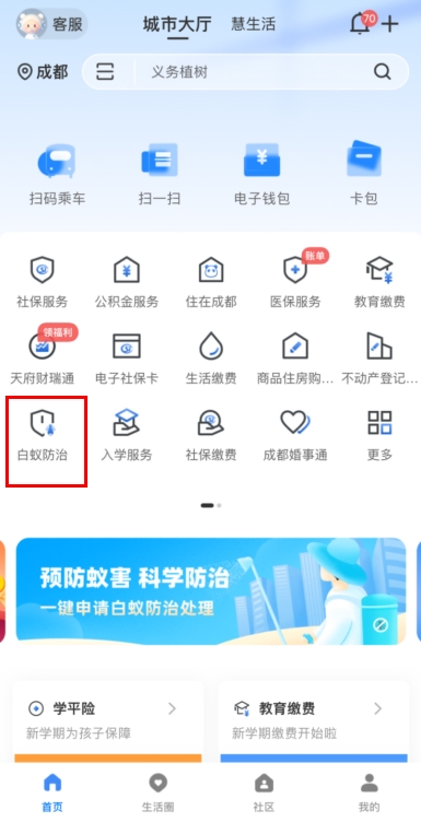 成都室内白蚁防治的有效方法,家里有会飞的白蚁最简单处理方法