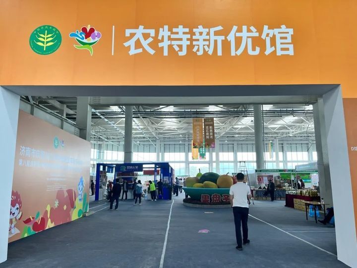 游花博泡温泉打卡,冬天商河温泉一日游