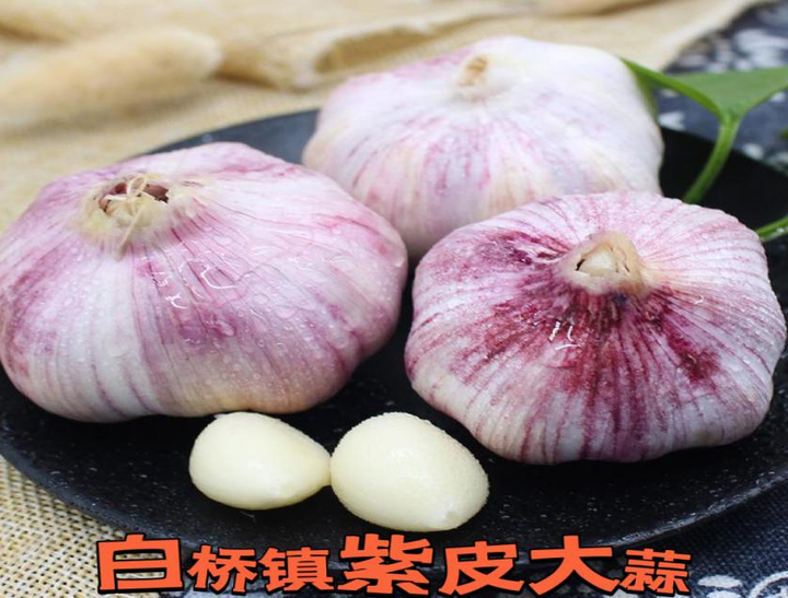 商河温泉之都,商河温泉基地游玩攻略