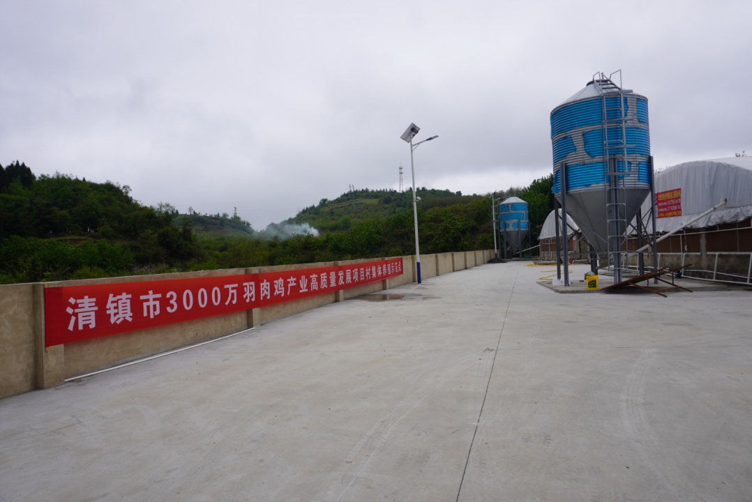 清镇市养鸡技术,智慧农业推动农业转型升级