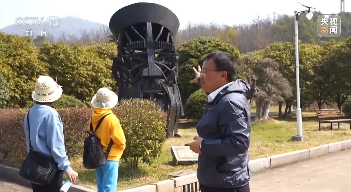 石缝种植植物,石缝种树