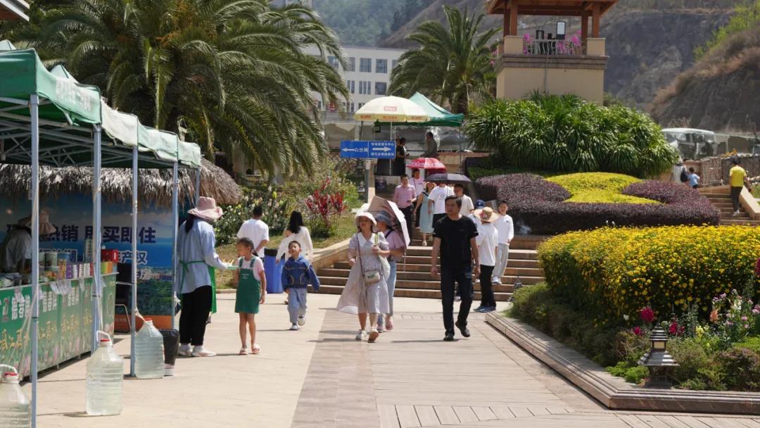 22.26万人次、2.04亿元！澄江清明假期“不负*光春**”