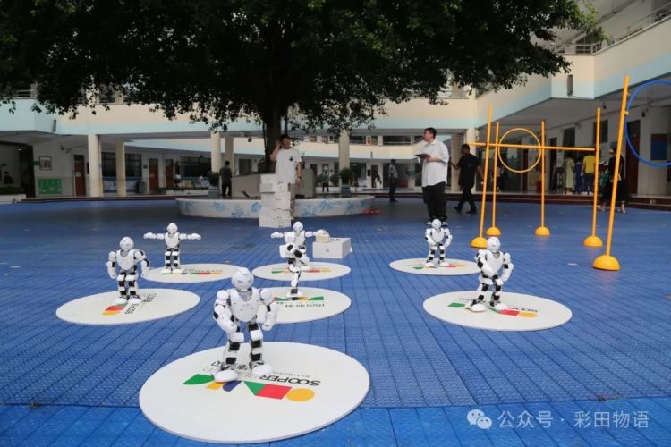 香港中文大学和彩田学校合作办学,香港大学彩田学校