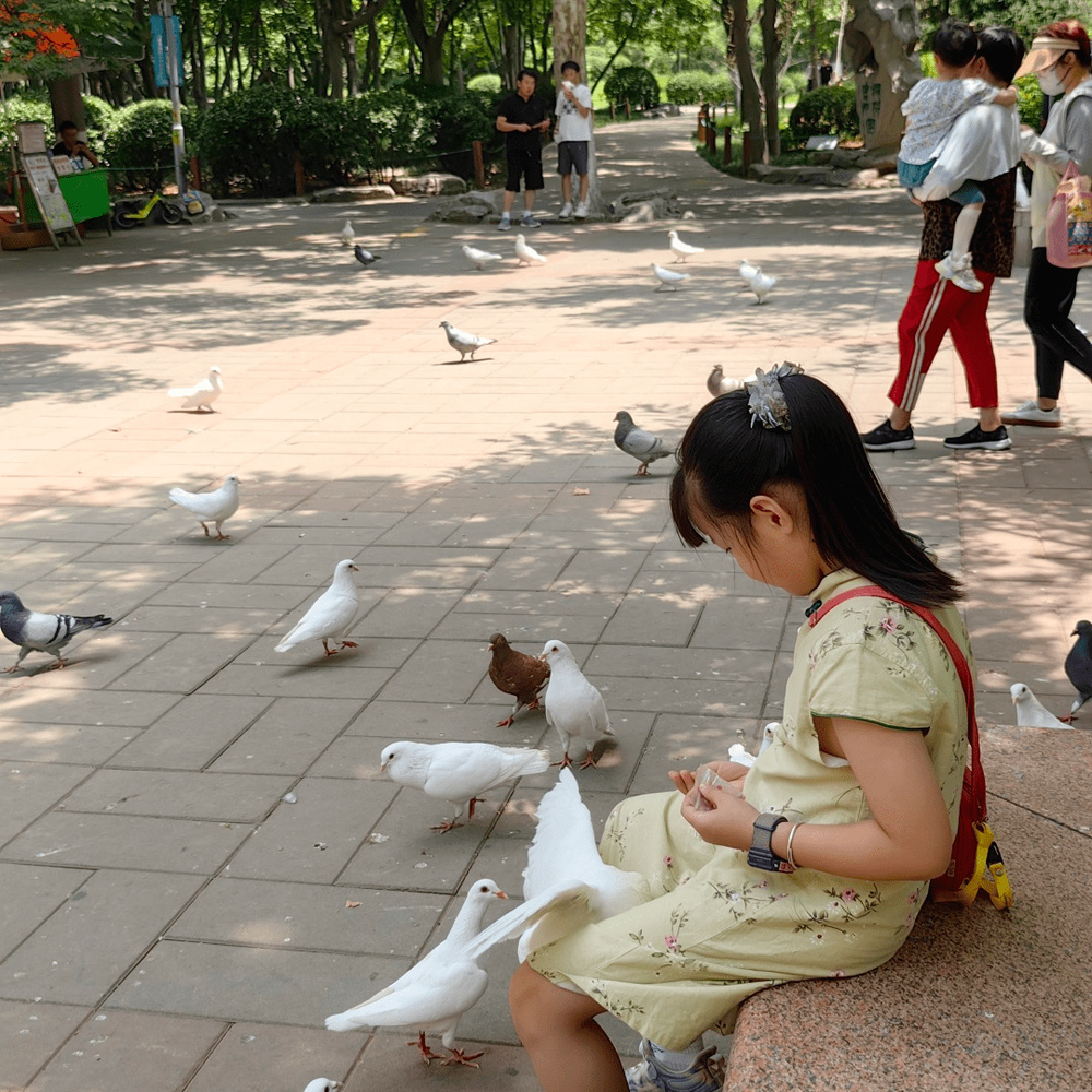 济南小众好去处,济南10大小众打卡地附地址