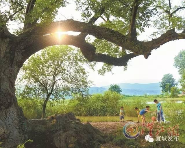 宜城过年气氛,宜城年味