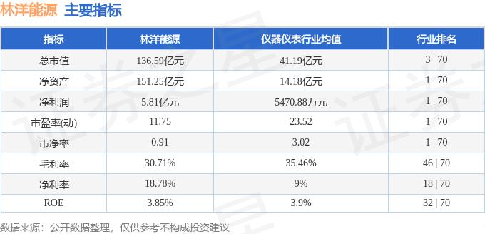 林洋能源（601222）10月24日主力资金净卖出314.97万元