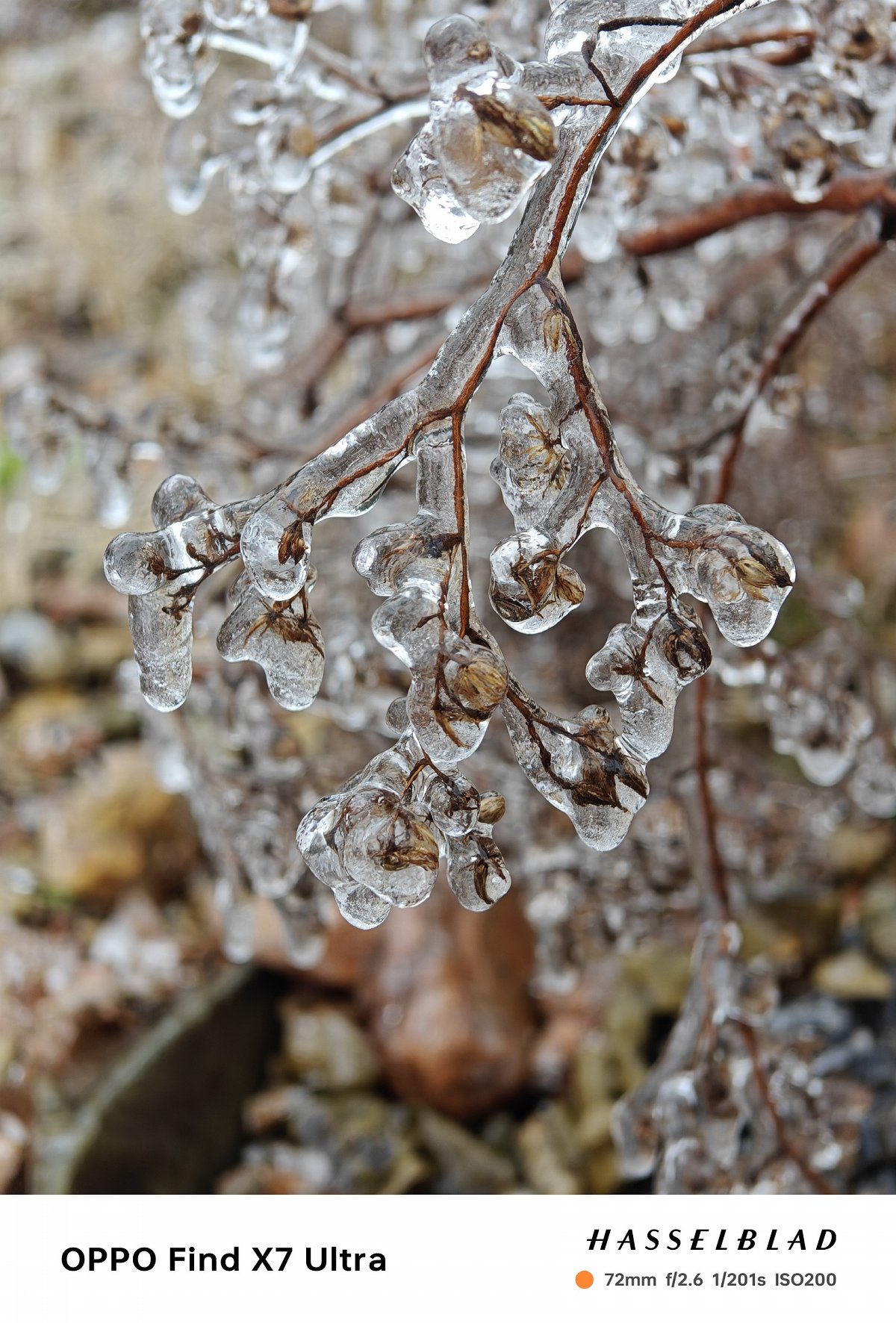 oppofindx7ultra娴嬭瘎,oppofindx7ultra鎷嶆憚璇勬祴