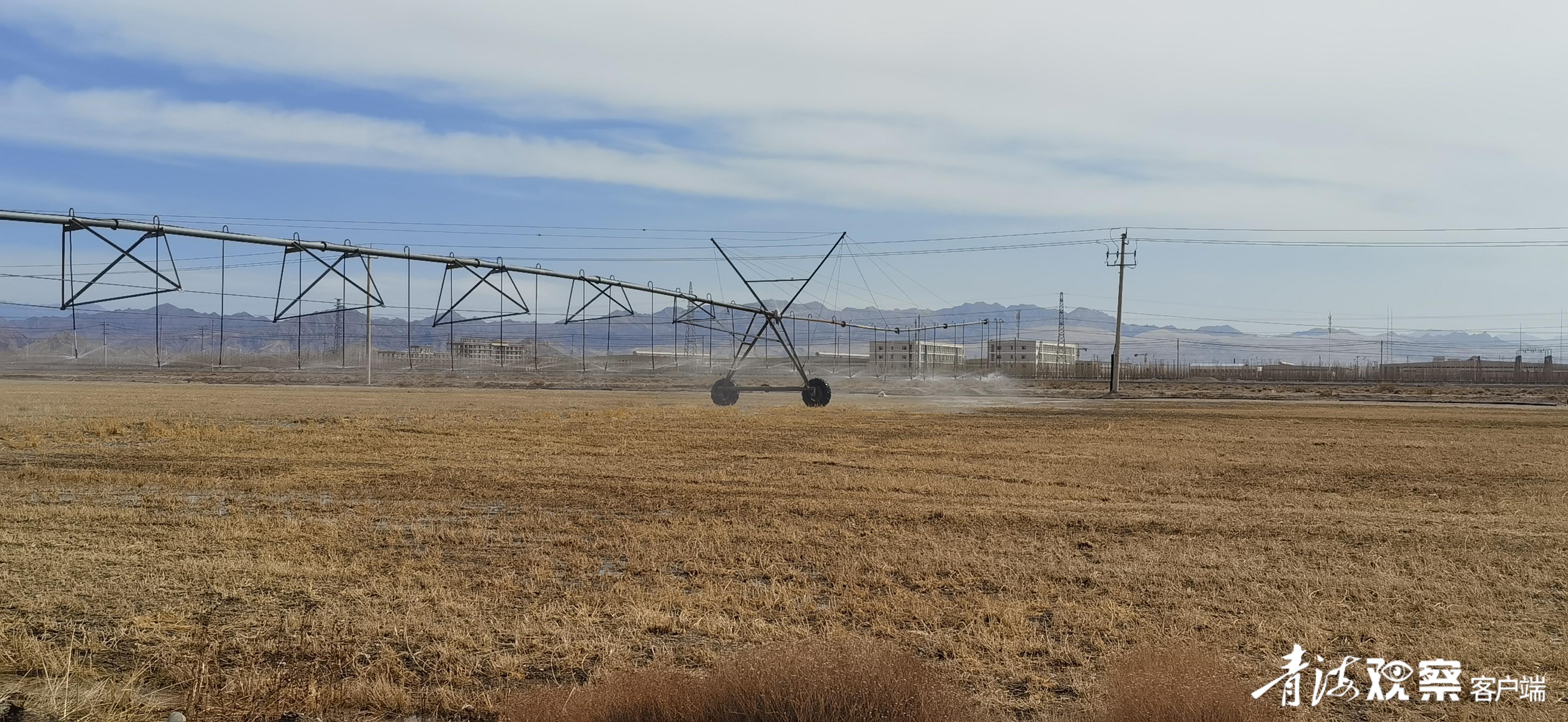 昔日的农田,昔日良田变湖泊